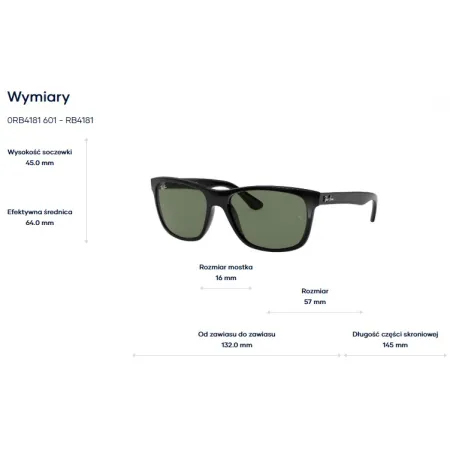 Ray-Ban Rb4181 601/87